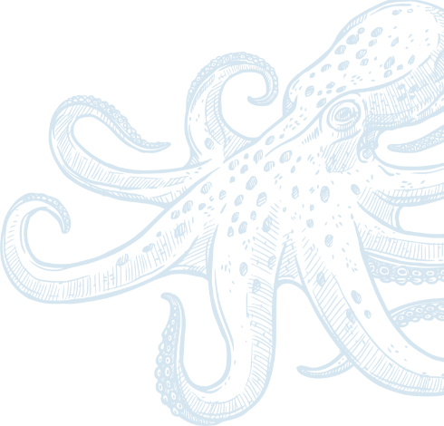 listing octopus