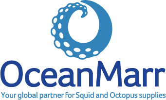 Ocean Marr Footer logo